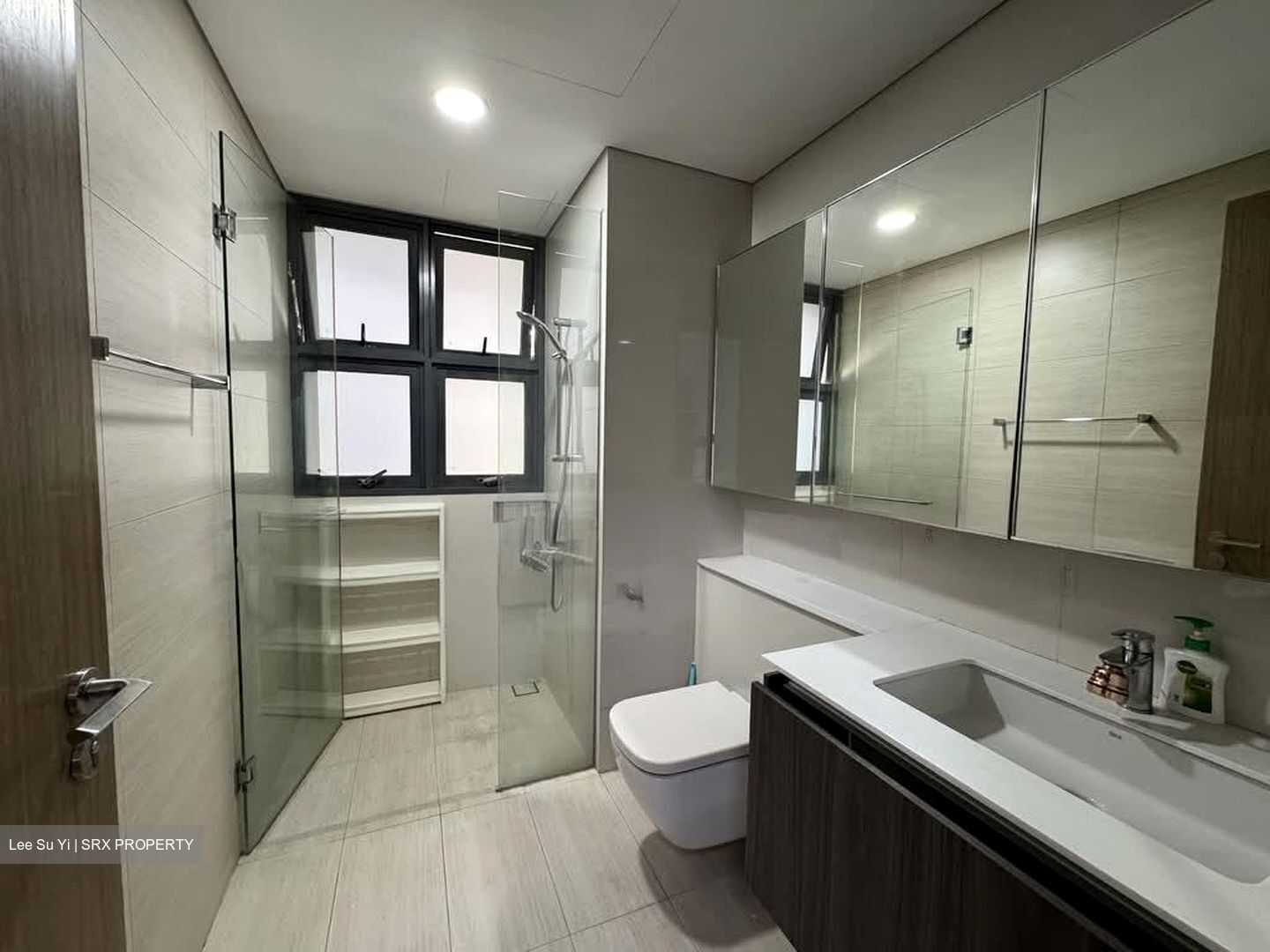 Lakeville (D22), Condominium #553304631